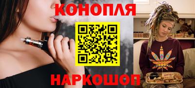 гидра Гатчина