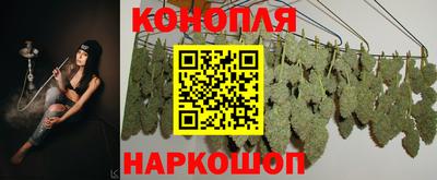 гидра Гатчина