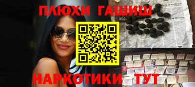 гидра Гатчина