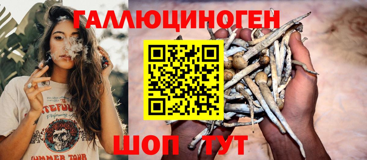 Псилоцибиновые грибы MAGIC MUSHROOMS Мурино